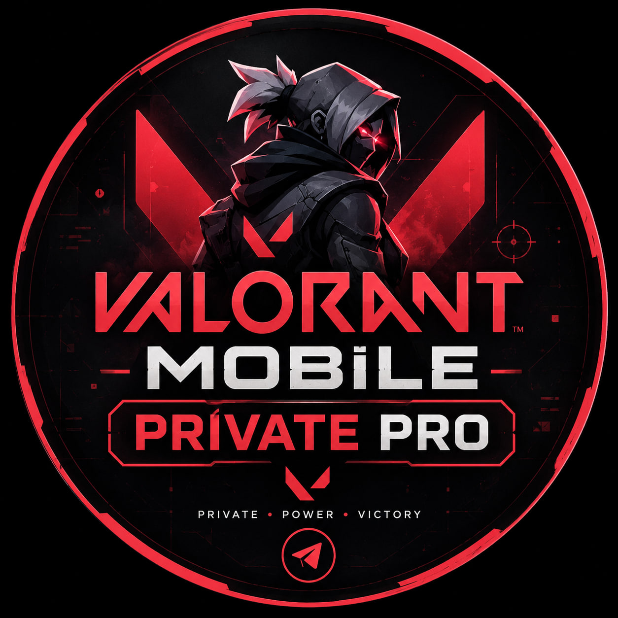 VAL5 PRIVATE PRO